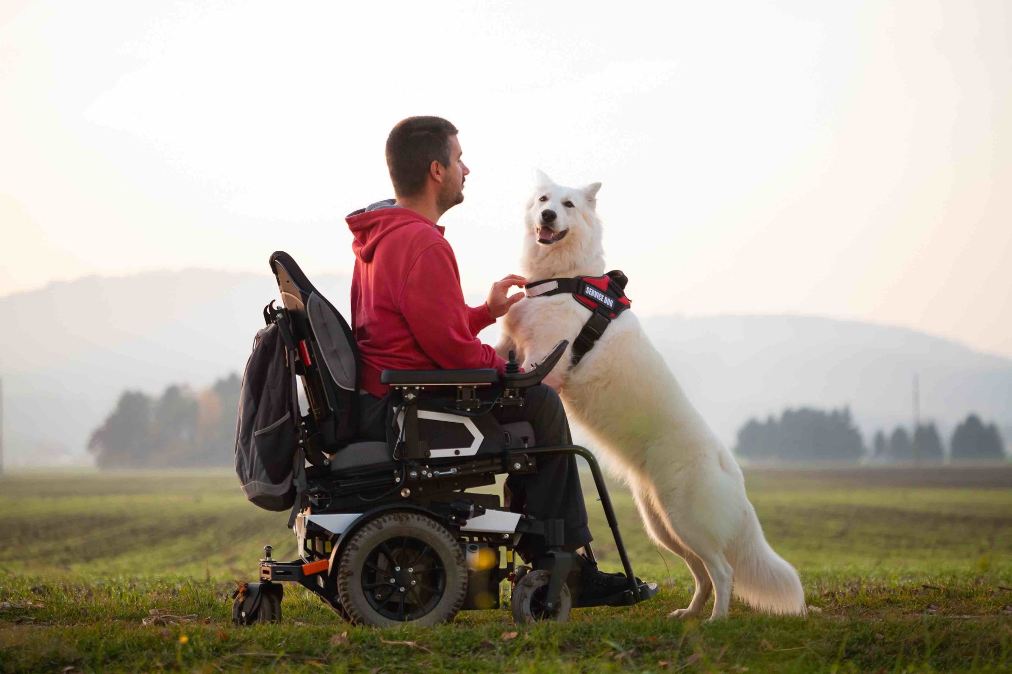 Hundeurlaub mit Handicap